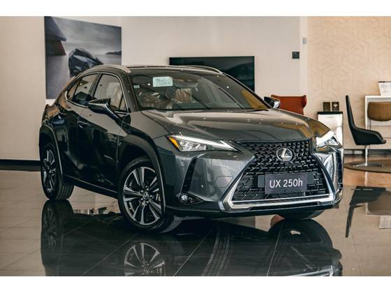 LEXUS UX 250h 2.0 VVT-I HYBRID LUXURY CVT